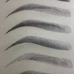 Brows Styles